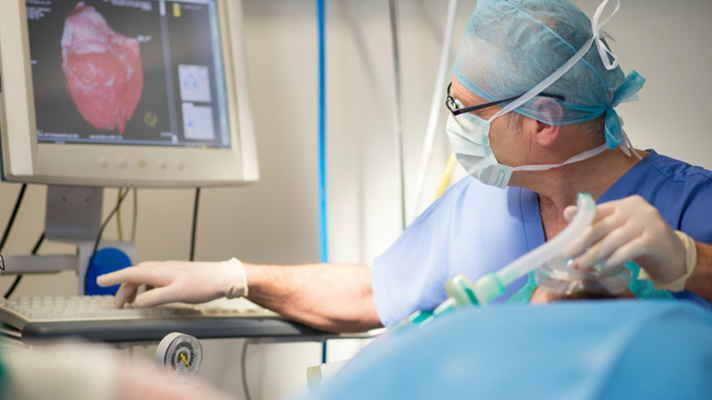 Healthcare worker looking at a medical image display.