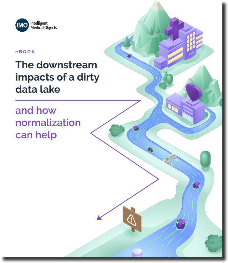 The downstream impacts of a dirty data lake and how normalization can help