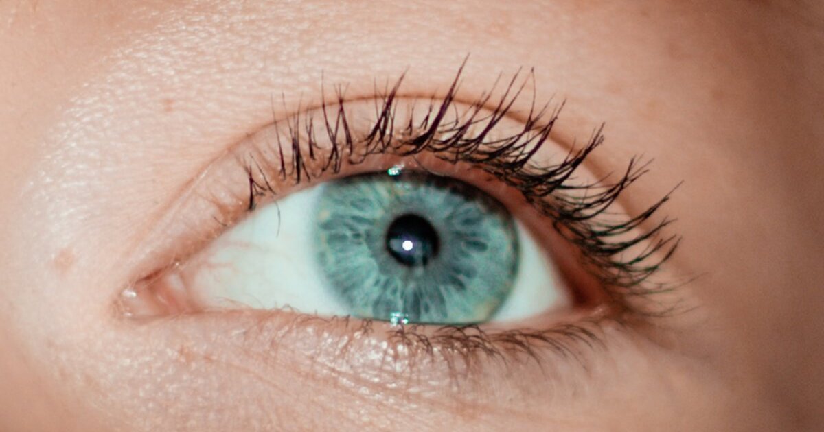 Image of an eye