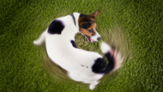 Interoperability