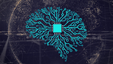 Abstract of a chip and network on an organ