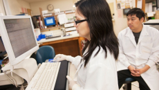 Laboratory researchers reviewing data