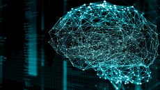 An abstract network in the shape of a brain