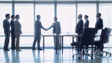 Business professionals shake hands to formalise a deal