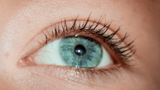 Image of an eye
