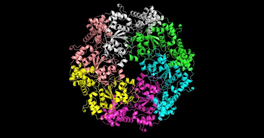 AI model of a protein AI model of a protein