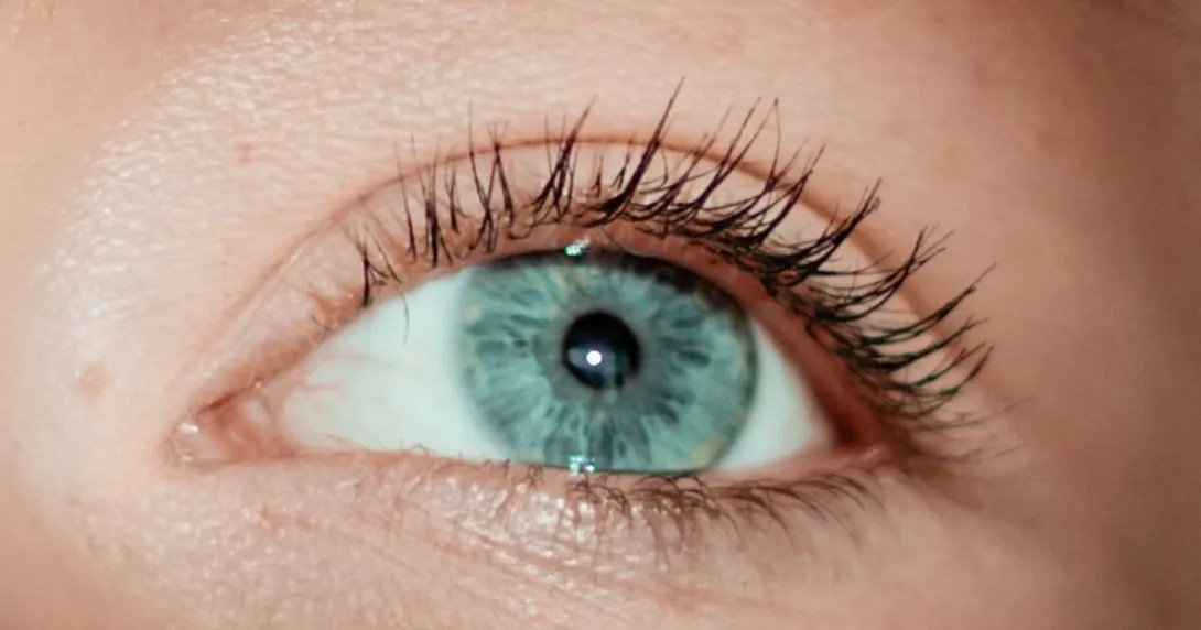 Image of an eye Image of an eye