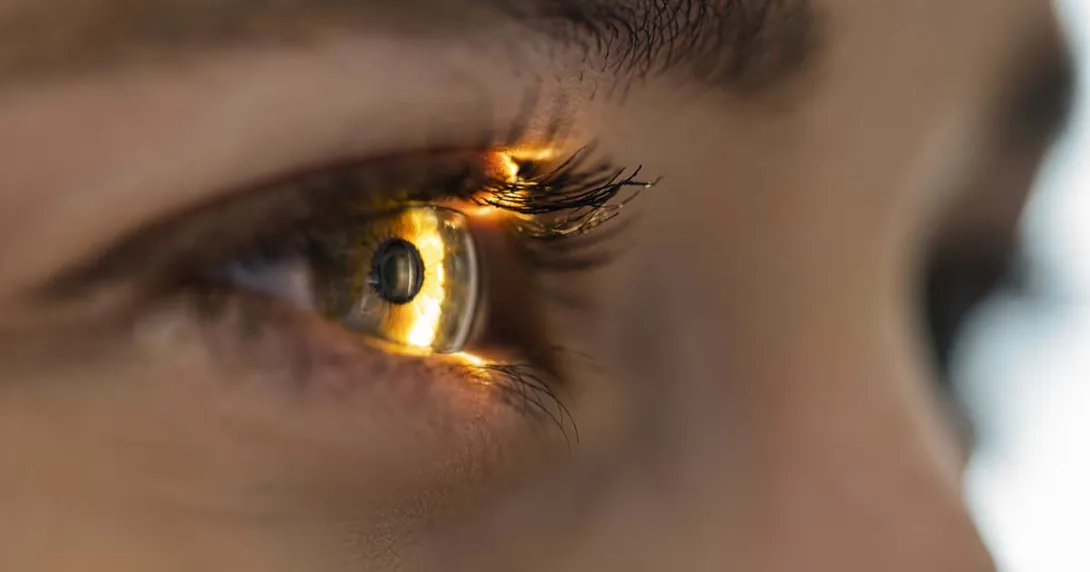 A retinal scan in progress