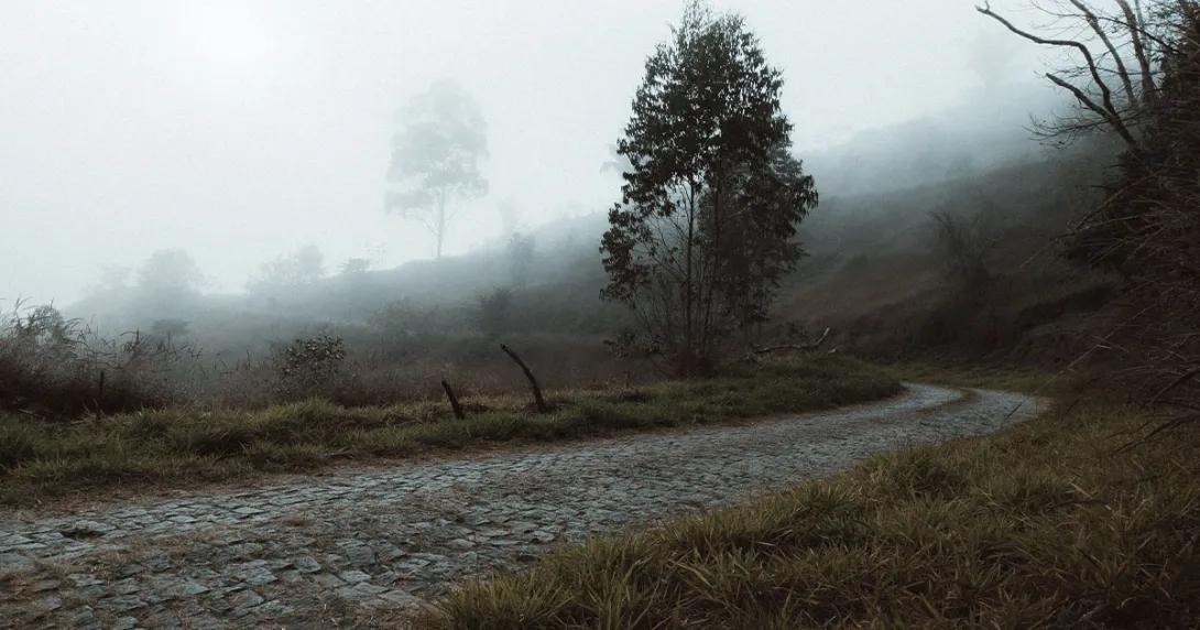 An old, uneven cobblestone road on a hillside in the mist